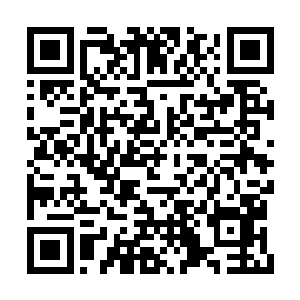 然后以附着浑厚真力的肉掌拦住了两枚针的突刺二维码生成