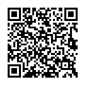 然后仰起满是泪痕的漆黑小脸目瞪口呆的看着他二维码生成