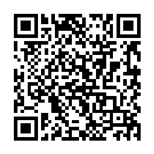 然后任何一只小龙都可以放心大胆的自己去各处玩儿二维码生成