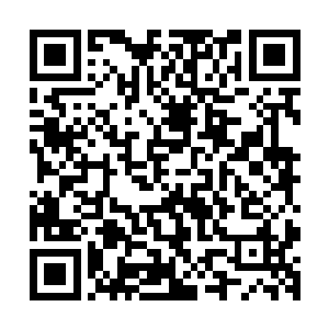 然后众人又面色复杂的把围着乌溪族的外围的硫磺都收集回来二维码生成