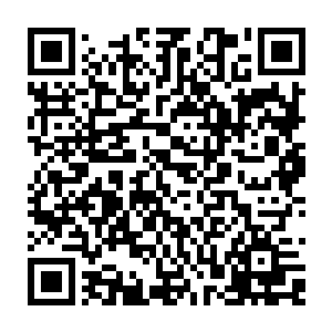 然后众人就都看到了那些用自己的头却给人家当坐骑的仙人们那满脸的狂热信仰二维码生成