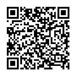 然后伸手一把把正往晶珠水榭中走的陌星子挡了回来二维码生成