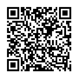 然后伸手指了指那个先前拔刀相向约莫三十岁的英武男子二维码生成