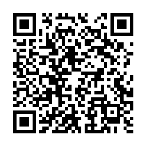 然后你在跪下来道个歉这件事情我们就算这么完了二维码生成