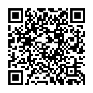 然后你得搞定这个时空更为强大还没有两线作战的德国二维码生成