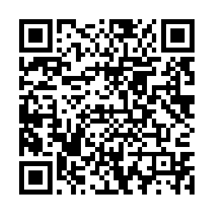 然后依次向着空中正在凄吼的九颗头颅撞击了过去二维码生成