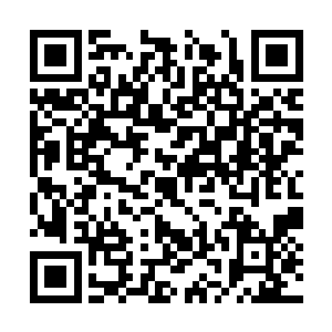 然后便取出了混沌兽开始吸收他们体内的混沌之气二维码生成