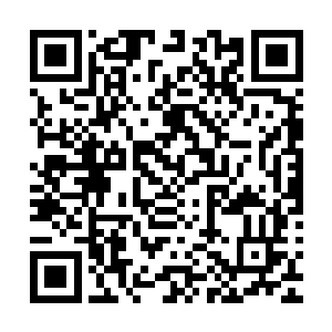 然后便尽职尽责的将地上属于陌生机器人的零件全部收起来了二维码生成