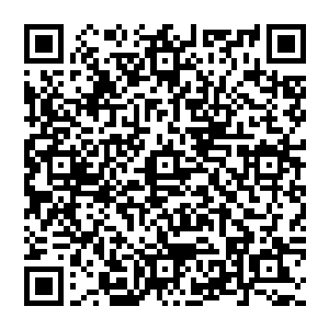 然后便开始和方虎威老爷子商量着媒人找谁送什么聘礼订婚的日子和结婚的日子最好定在什么时候――二维码生成