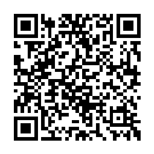然后便是抬起头看着自己身边站立着的院长大人二维码生成