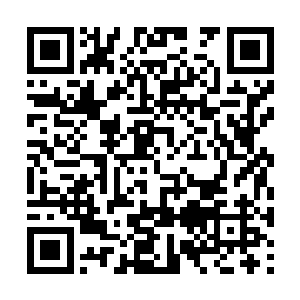 然后便是本能地两只手迫不及待地抢过一次性纸杯二维码生成