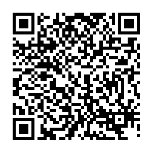 然后便走到了那个大冰球的旁边……却是跟道具箱里面的银脚小猫商讨了起来的二维码生成