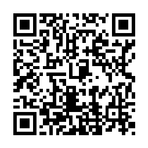 然后便重新将所有注意力都集中在了那大阵之上二维码生成