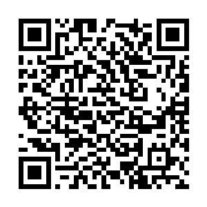 然后借用青山公司的会议室进行了一个简短的座谈二维码生成