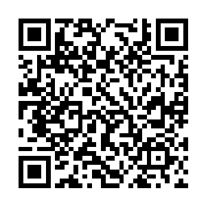 然后假装一本正经的模样看着转过身来的老师讲课二维码生成