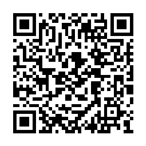 然后像丢到烧红的铁锅里的虾一样痉挛挣扎起来二维码生成