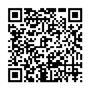 然后像个小王八一样开始挣扎着想从雪堆上爬起来二维码生成