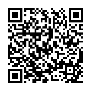 然后再也不用当奴仆被这些可恶的主人使唤了……二维码生成