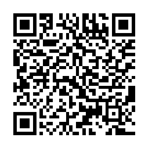 然后再决定下一步的行止――毕竟一派执掌在自家的基业里二维码生成