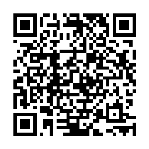 然后再分散到各大主城当中的仙草铺子中进行批发或零售二维码生成