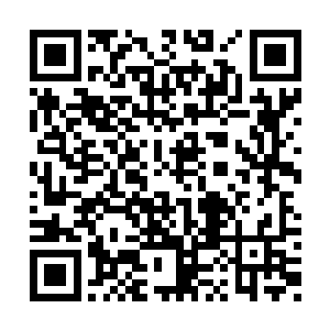 然后再化作股股气息转入自己经脉之中不住流动二维码生成