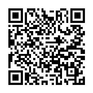 然后再向主裁判投诉一下科洛・图雷对自己的犯规二维码生成