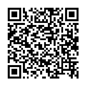 然后再在适当的时机找刘伟杰拼命……是这样的吧二维码生成