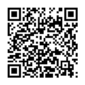 然后再按照自己的节奏奔跑他们之间总是隔着那一段距离二维码生成