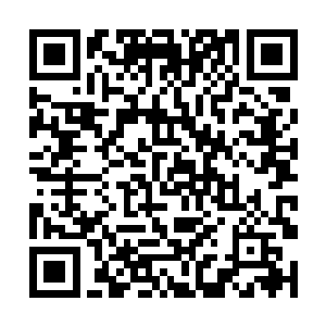 然后再次将目光投向了那依旧如失了魂一般的宋队长二维码生成