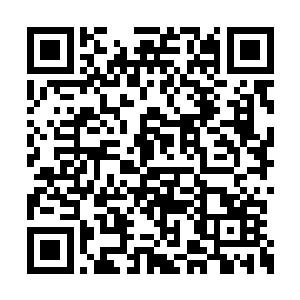 然后再用仪器来精确观察你身体素质的提升过程二维码生成