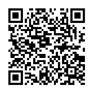 然后再由黑须使用秘法将药丹当的天地灵气打散掉二维码生成