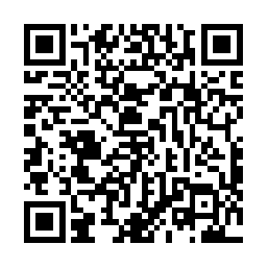 然后凝聚成了一只只浑身散发出各种强烈元素气息的巨兽二维码生成