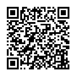 然后凝视着那依旧笼罩在整片大地上的金色光罩二维码生成