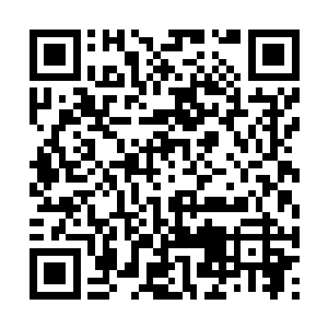 然后凭借强大的实力来无视这克制和被克制的特性二维码生成