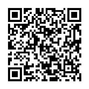 然后利用杀蓝紫体内隐藏的力量将杀破狼融为一体二维码生成