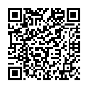 然后剩下的半个月使用空间金鱼加上自己的速度赶回来二维码生成