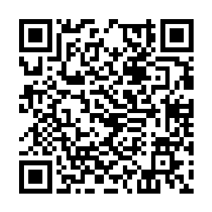 然后剩下的这些个没事儿就上山也不知道是录个啥二维码生成