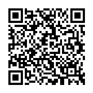 然后加入这场绝对会写入历史的对决的狂欢之中二维码生成