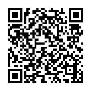 然后勒令京兆尹和五城兵马司的人一起协理这案子二维码生成