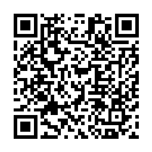 然后十一个圣级大修士就如同十一只火龙向着山巅冲撞而去二维码生成