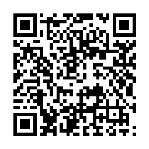 然后原本呼啸而来的气势也是瞬间被抵消了大部分二维码生成