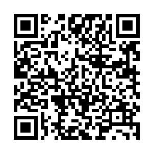 然后去我们定的暂时集合点等其他没有回来的夏家军二维码生成