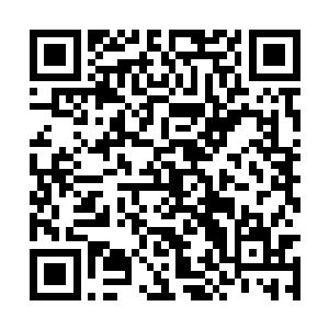 然后又传来了谢老夫人亲口下令不许他进谢家的话二维码生成