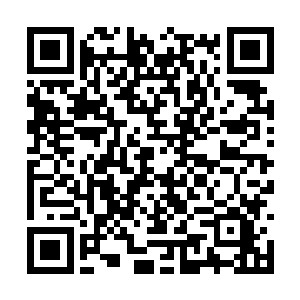 然后又在最危险的时候勇敢地冲上去杀了那头火狼二维码生成