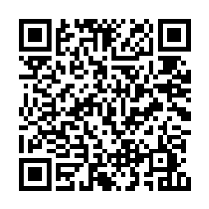 然后又将服用了母药的崔抗的棺材也是一起烧掉二维码生成