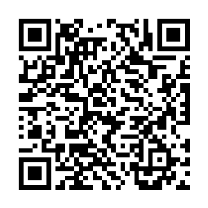 然后又拿起水壶替摆放在桌案上那盆云竹洒了洒水二维码生成