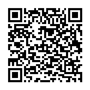 然后又看了一眼远处那被模糊了看不清的观众席上二维码生成