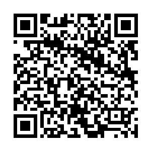然后又看了看因为受到惊吓而变得俏脸苍白的流年二维码生成
