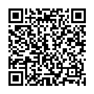 然后又看向乖顺地立在儿子身边穿着王妃品级正服的女子二维码生成