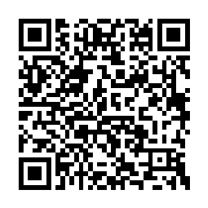 然后又让人将死伤的宫女尸体也是一起抬了过去二维码生成